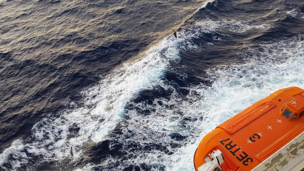 Madera (in portoghese Madeira) è un arcipelago di isole di origine vulcanica, situato nell'Oceano Atlantico, 545 km a nord ovest della costa africana. 48